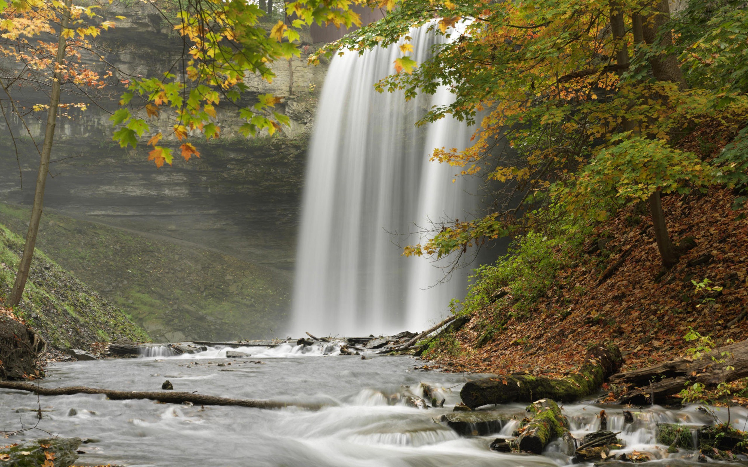 Waterfall in autumn forest