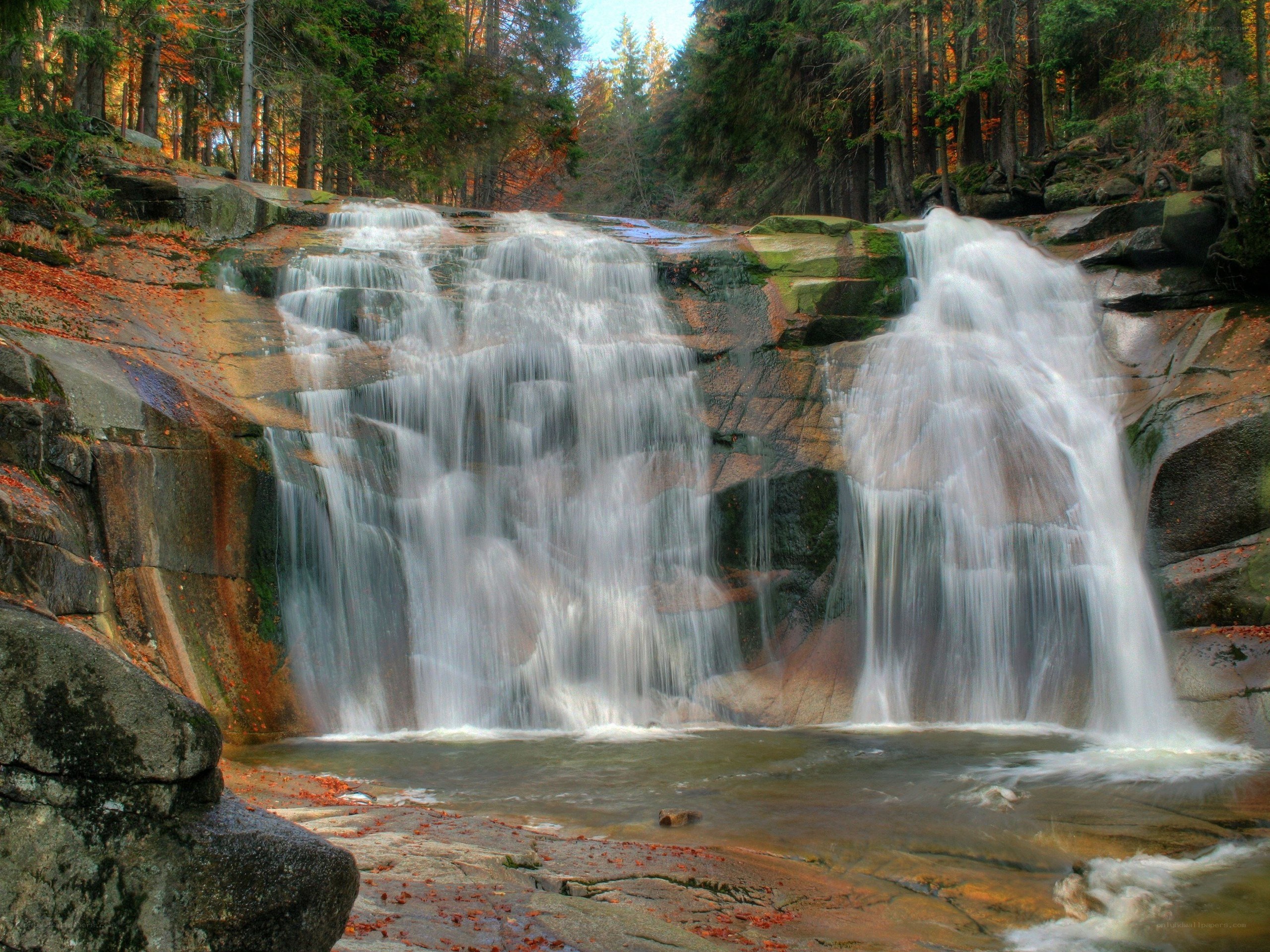 Waterfall in autumn forest