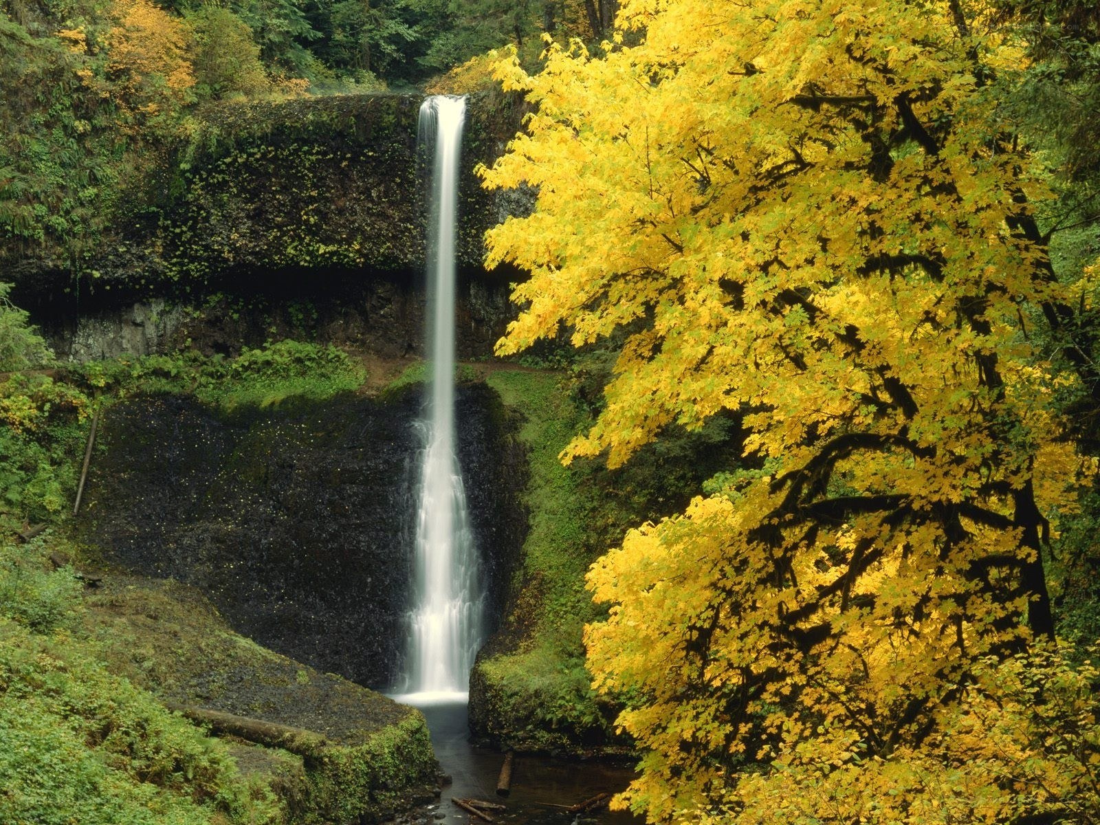 Waterfall in autumn forest
