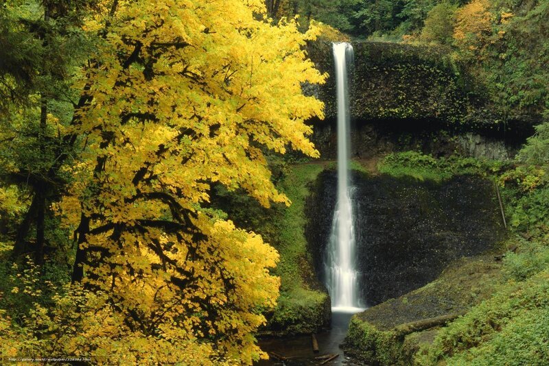 Waterfall in autumn forest