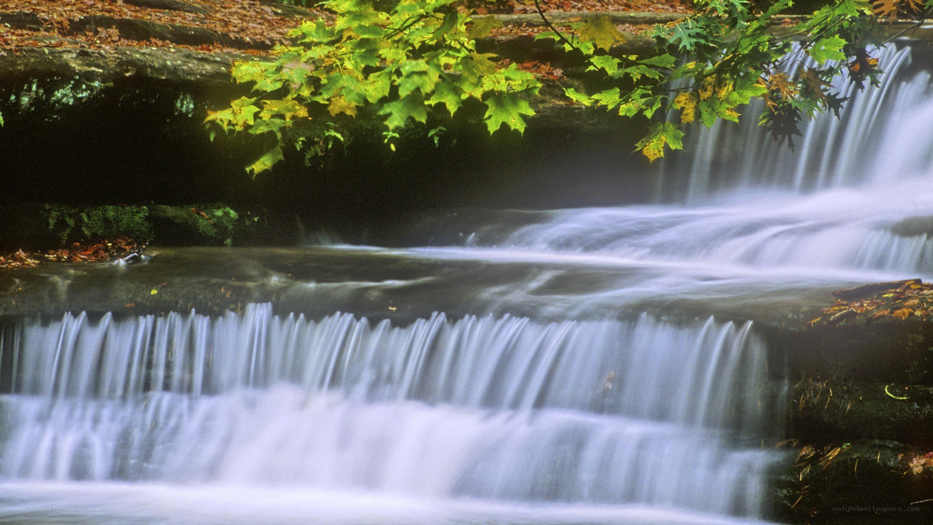 Waterfall in autumn forest
