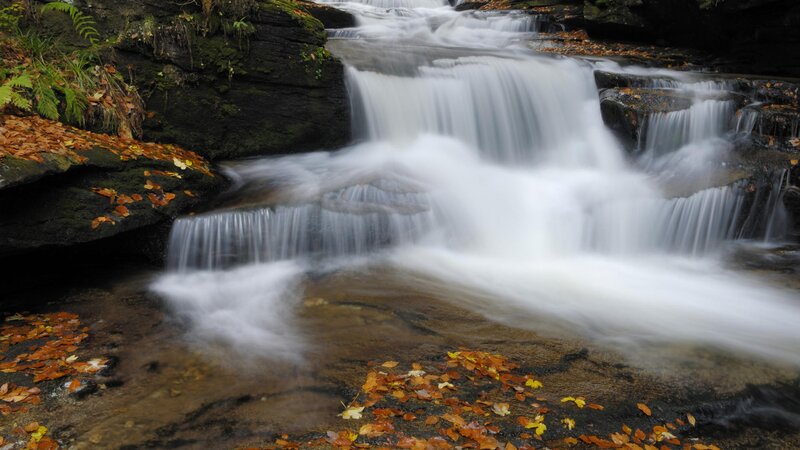 Waterfall in autumn forest