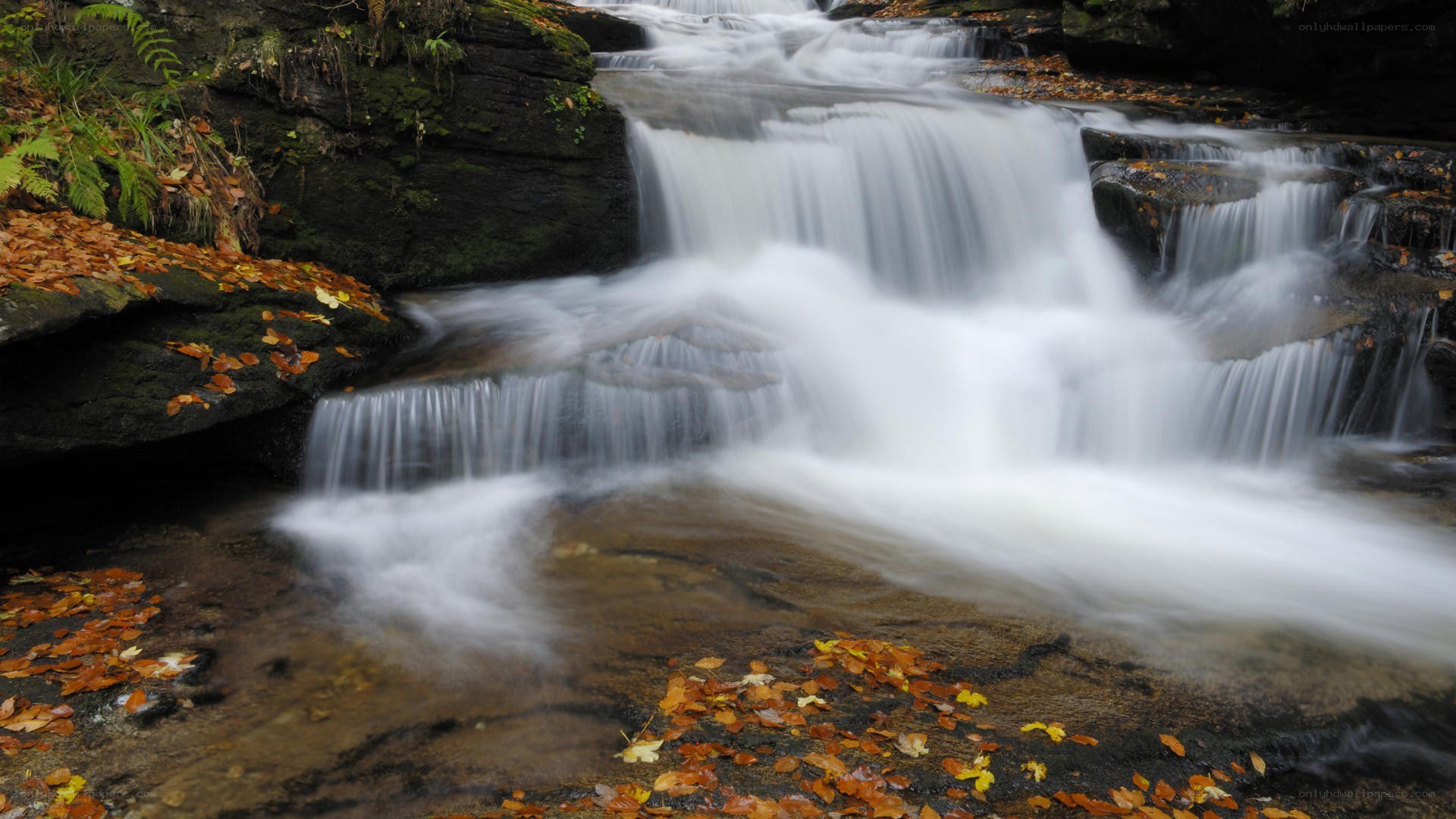 Waterfall in autumn forest