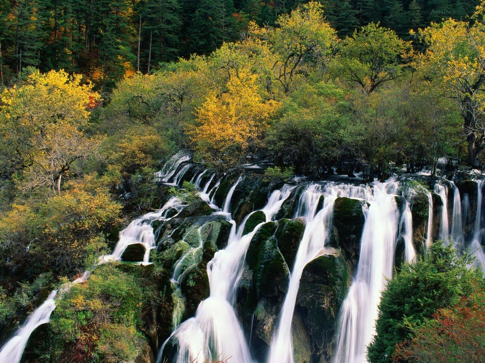 Waterfall in autumn forest