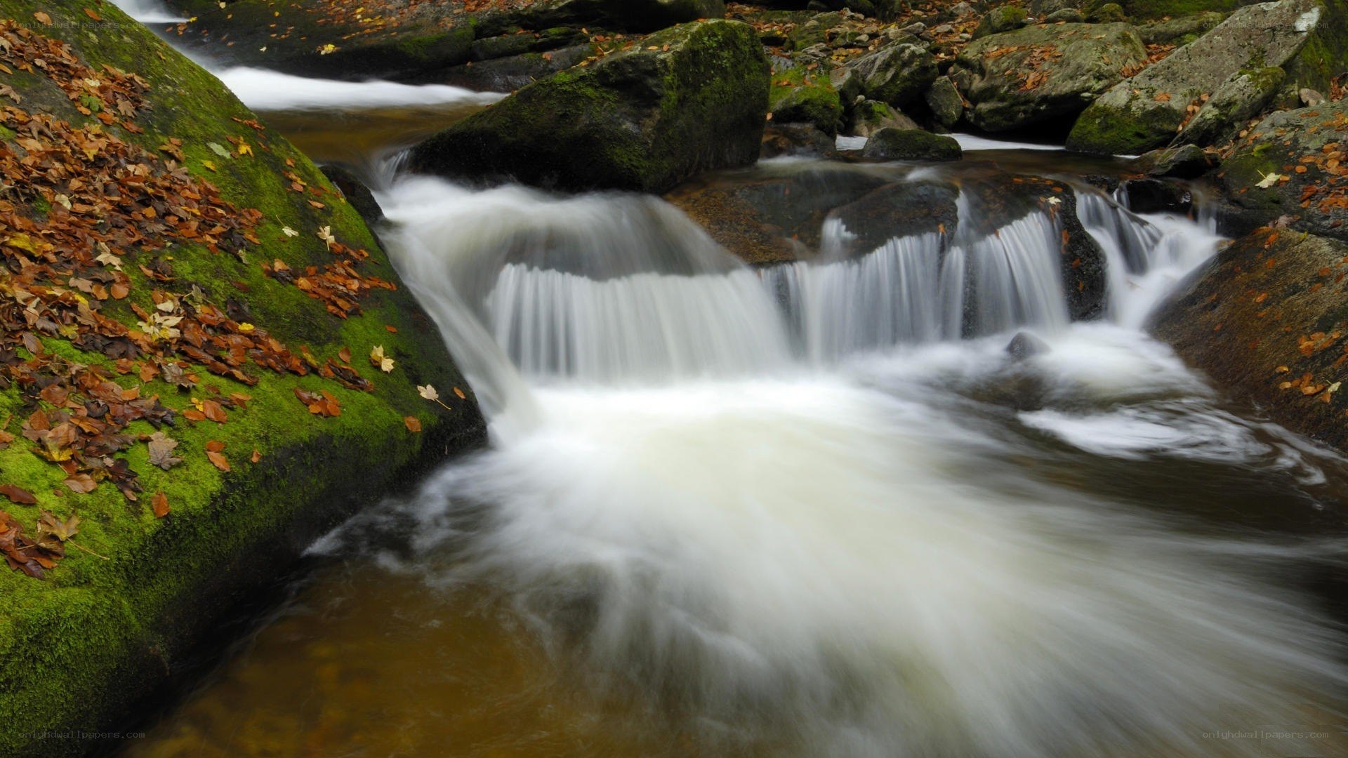 Waterfall in autumn forest