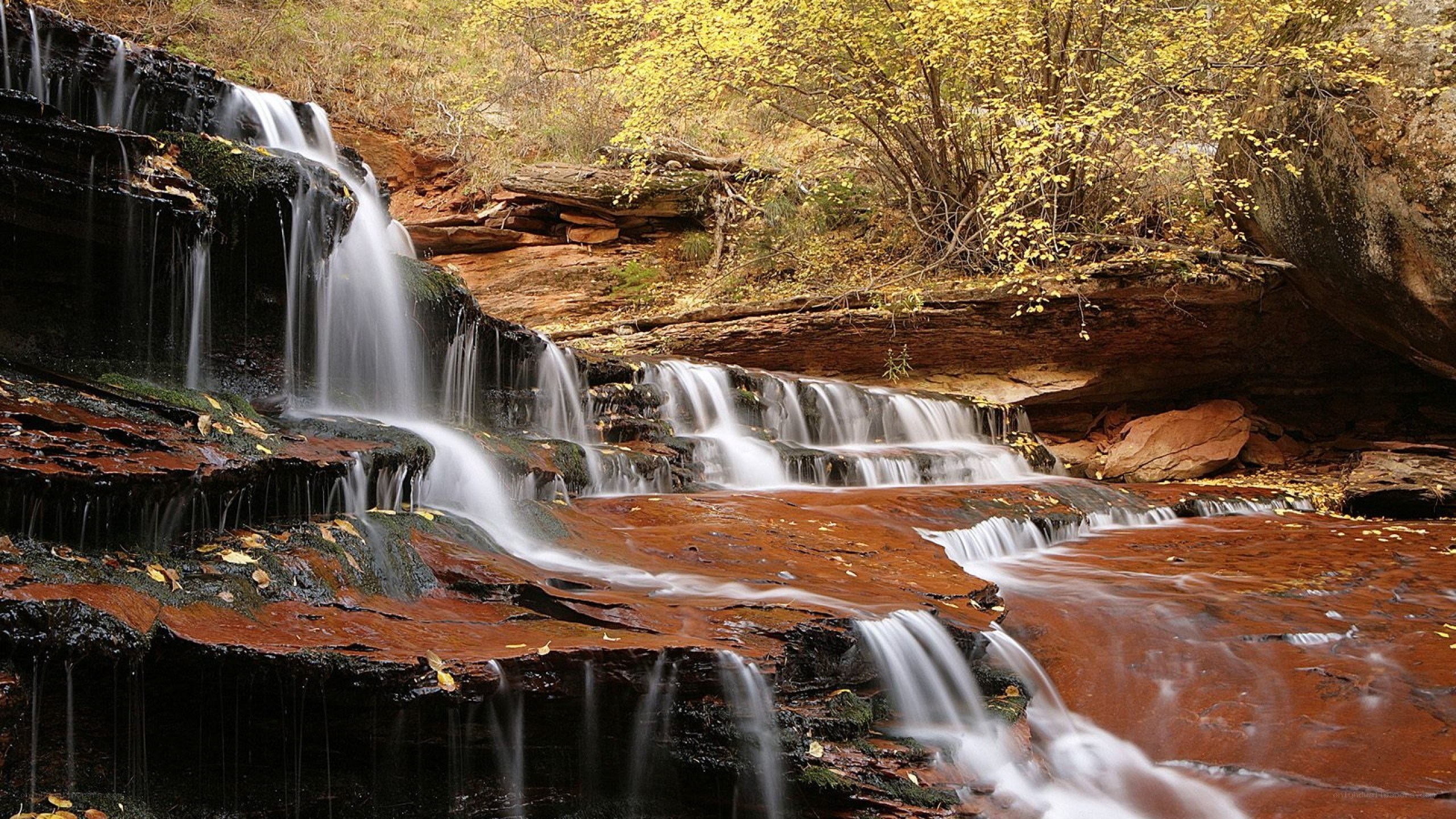 Waterfall in autumn forest