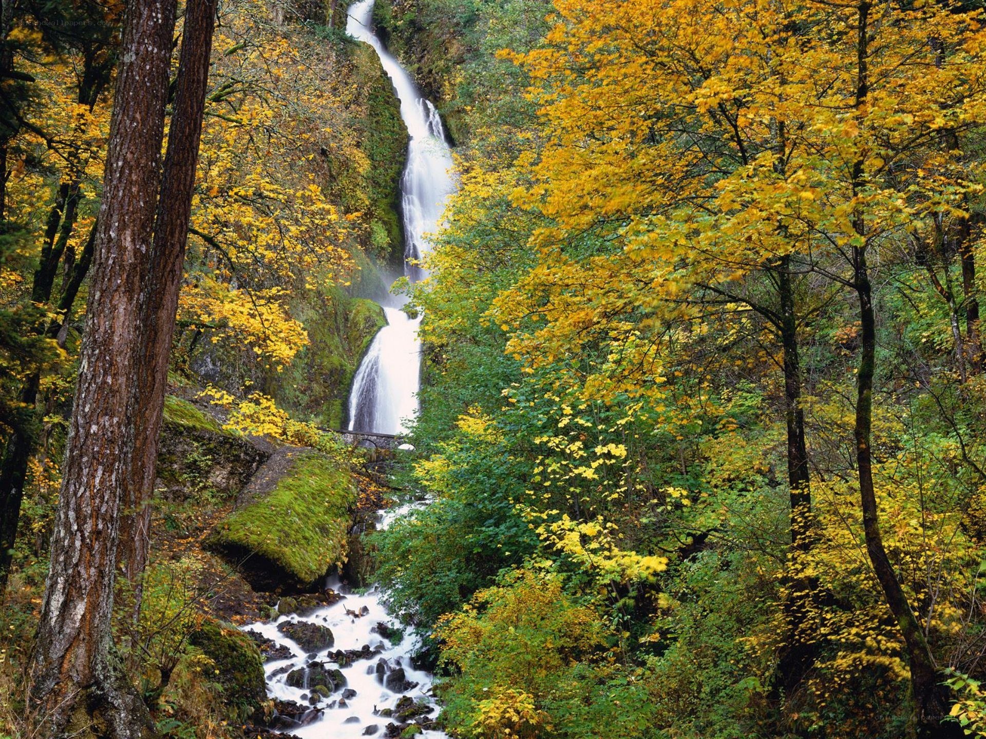 Waterfall in autumn forest