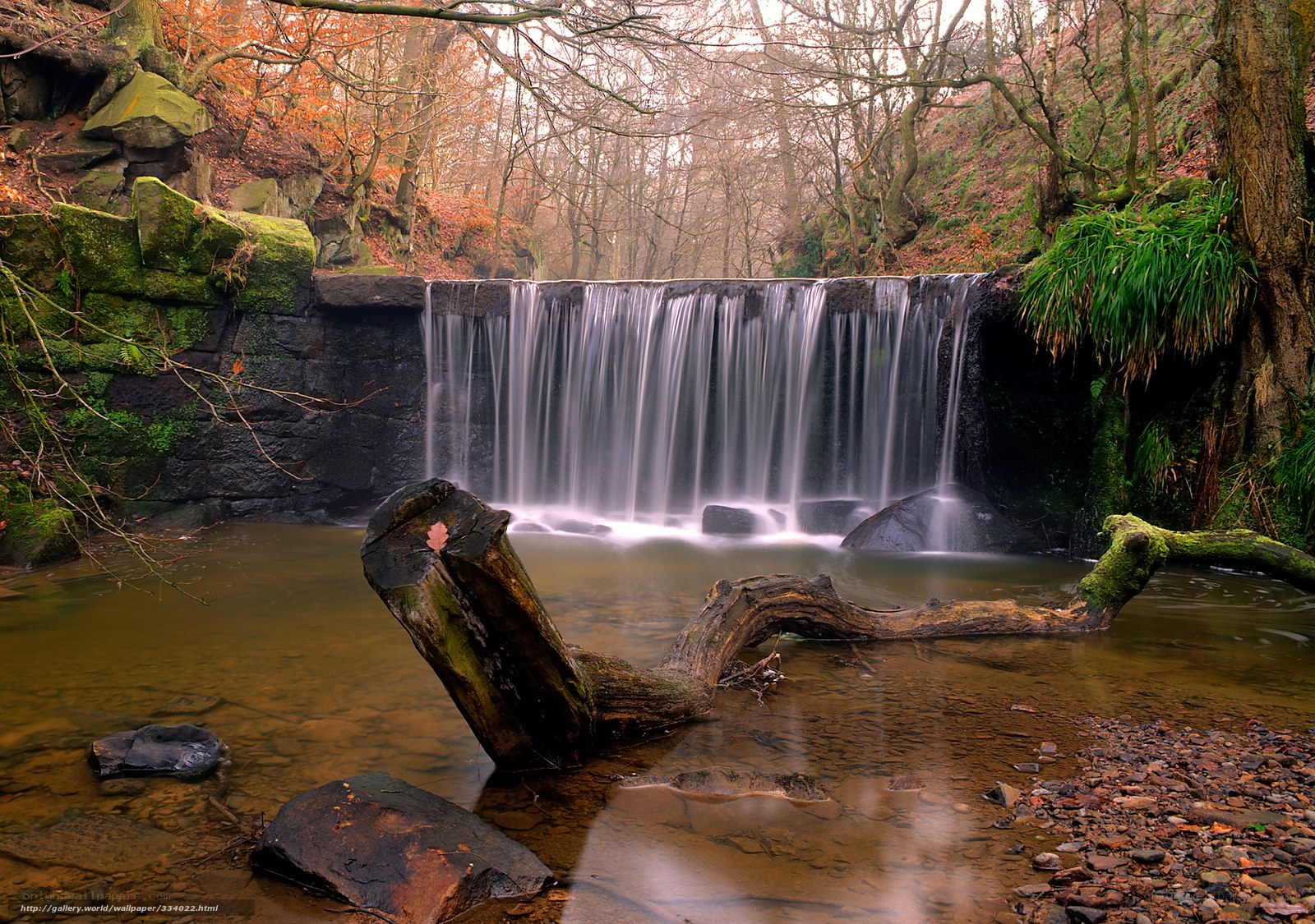Waterfall in autumn forest