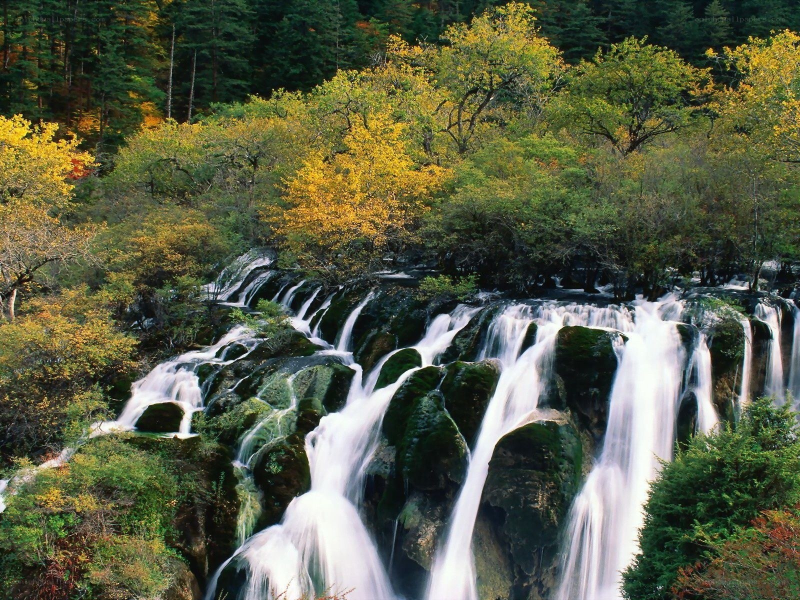 Waterfall in autumn forest