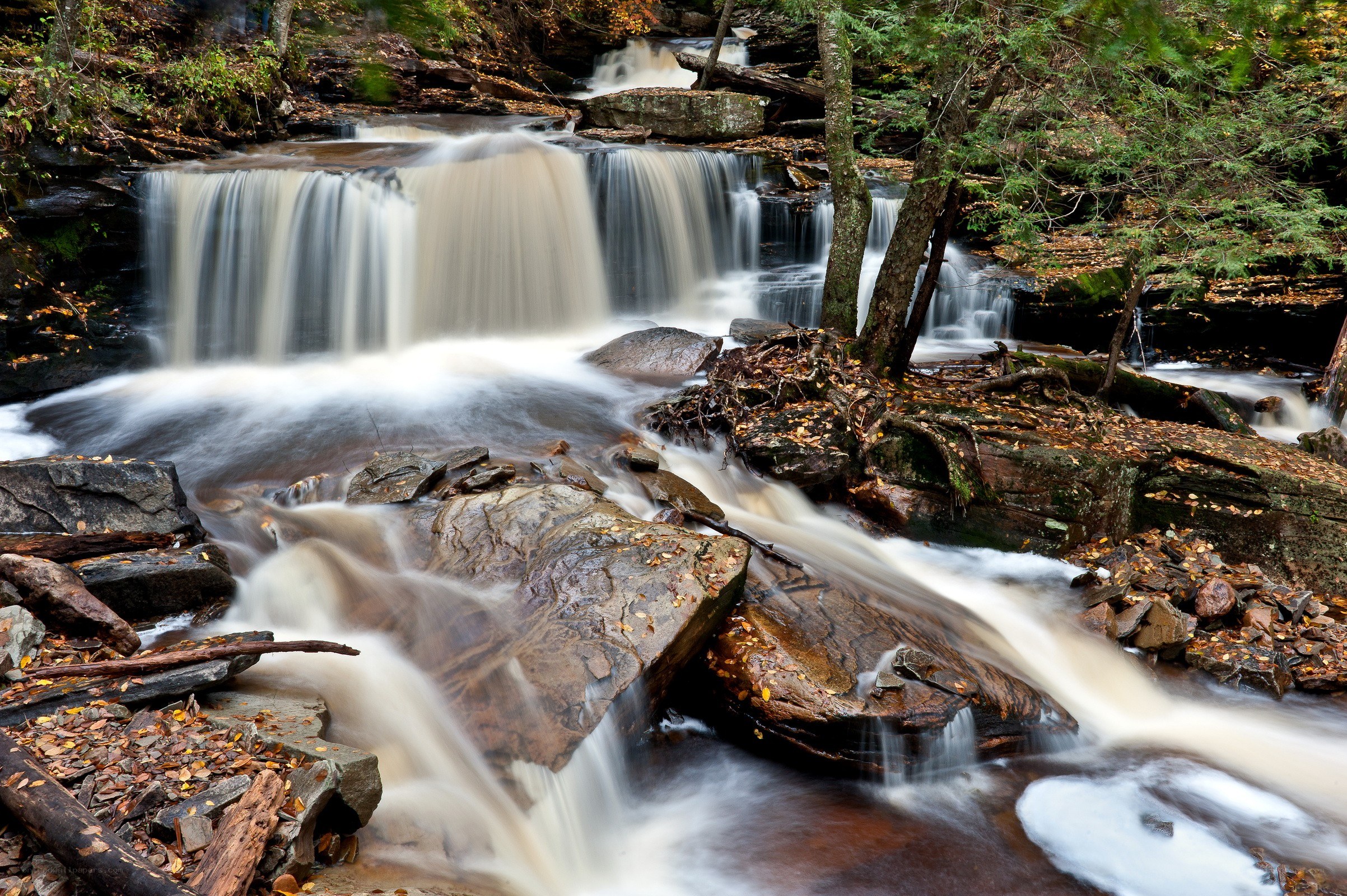 Waterfall in autumn forest