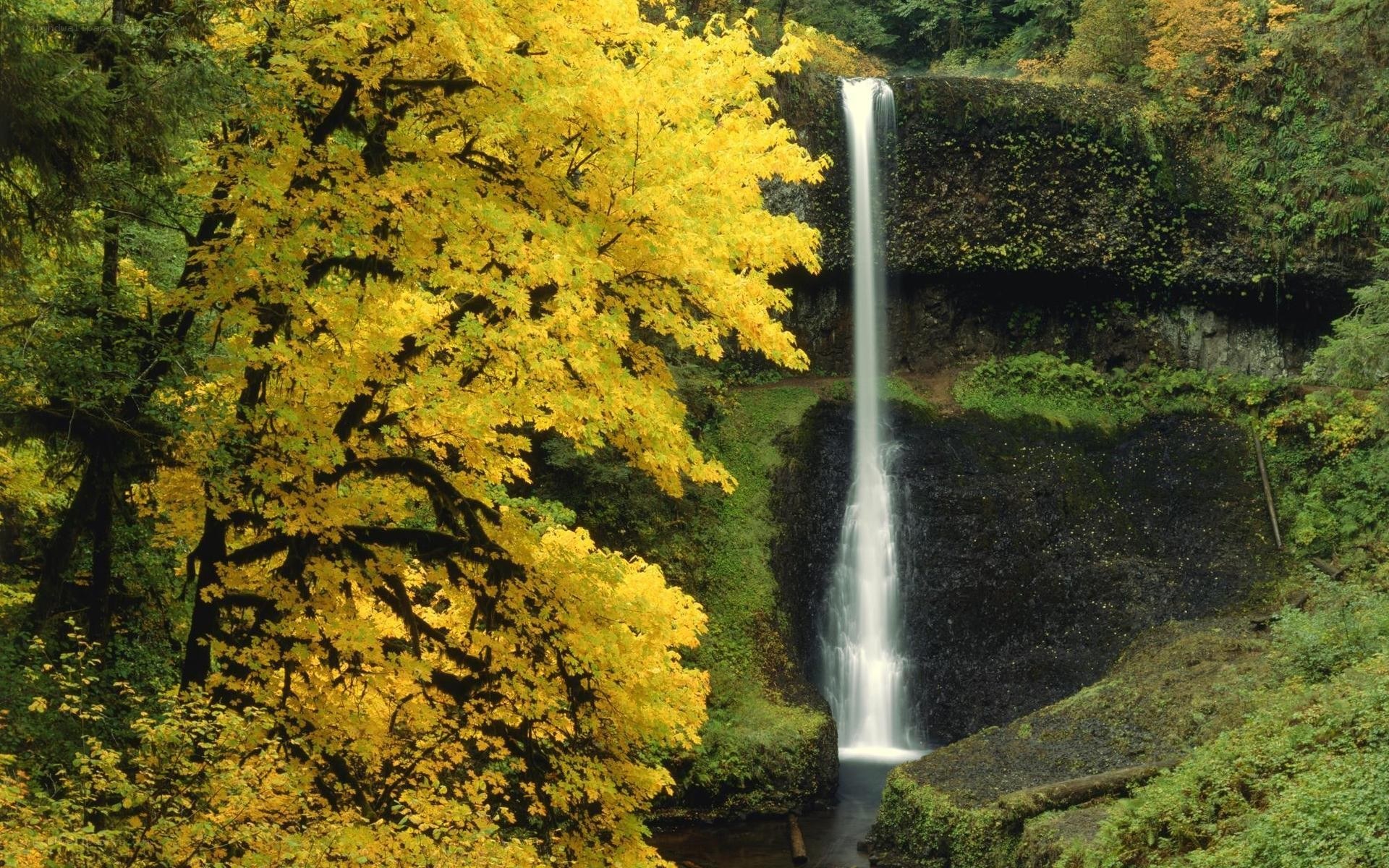 Waterfall in autumn forest