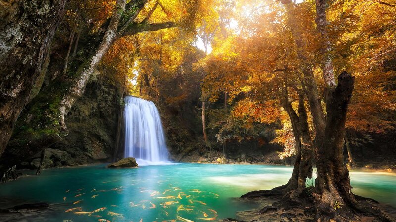 Waterfall in Autumn Forest — Blue, Serene, Photograph, Trees, Pool, Fish