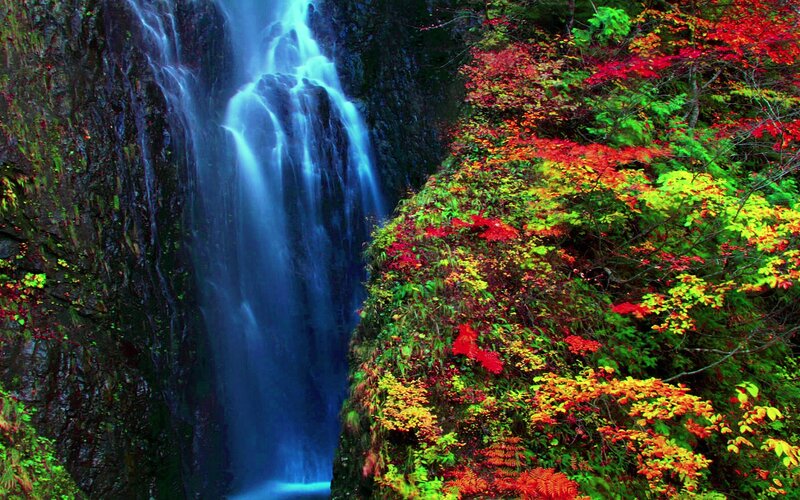 Waterfall in Autumn Forest — Blue, Serene