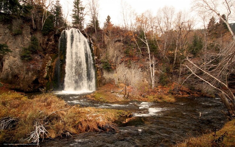 Waterfall in Autumn Forest — Brown, Serene, Photograph, River, Trees