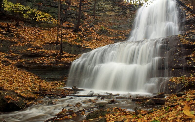 Waterfall in Autumn Forest — Brown, Serene, Photograph, Trees, Leaves