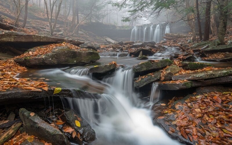 Waterfall in Autumn Forest — Brown, Serene, Photograph, Trees