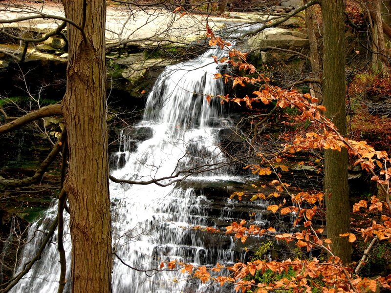 Waterfall in Autumn Forest — Brown
