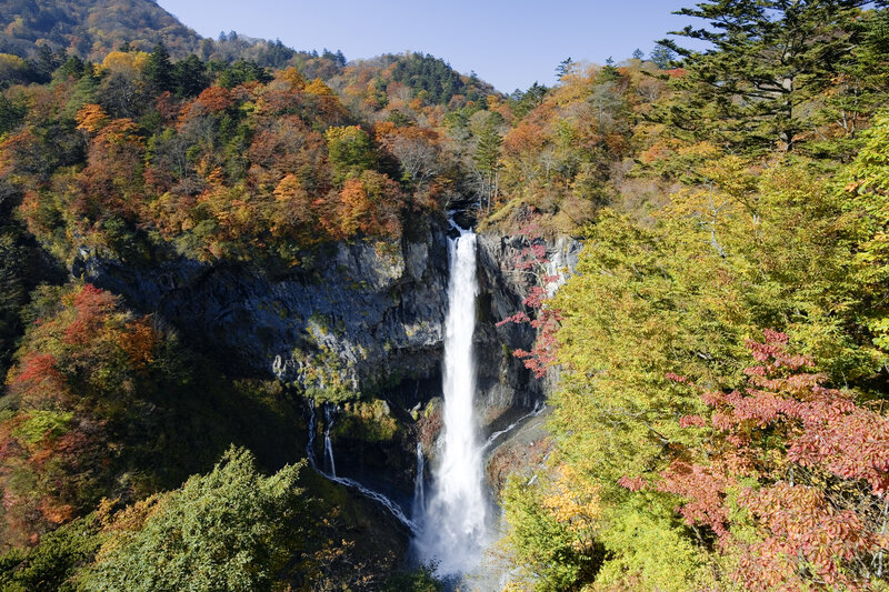 Waterfall in Autumn Forest — Green, Serene, Photograph, Mountain, River