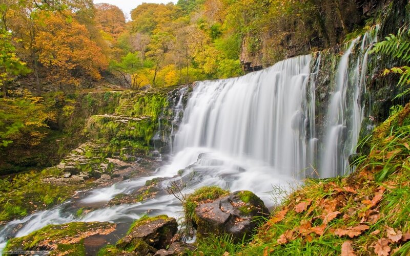 Waterfall in Autumn Forest — Green, Serene, Photograph