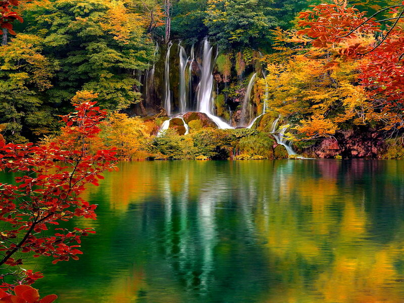 Waterfall in Autumn Forest — Green, Serene, Photograph, Trees, Lake, Falling Water