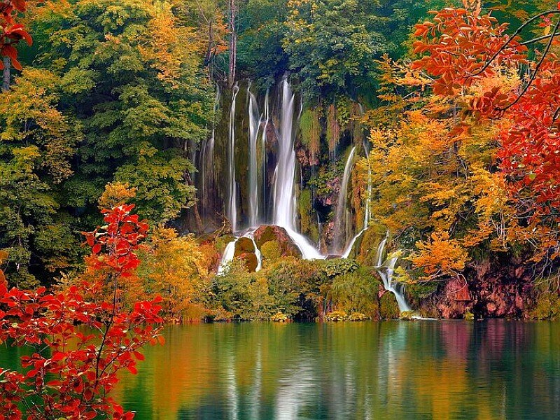 Waterfall in Autumn Forest — Green, Serene, Photograph, Trees, Lake, Rock