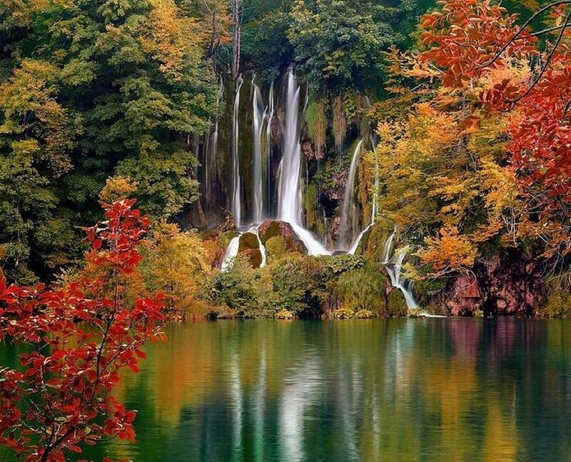 Waterfall in Autumn Forest — Green, Serene, Photograph, Trees, Lake, Rocks