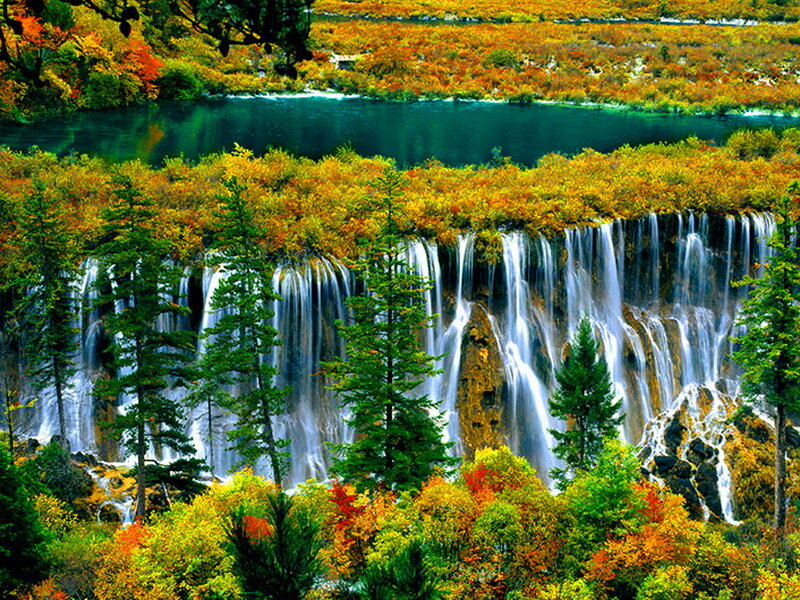 Waterfall in Autumn Forest — Green, Serene, Photograph, Trees, Lake