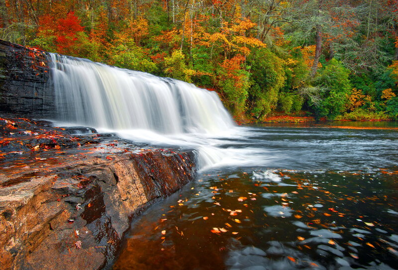 Waterfall in Autumn Forest — Green, Serene, Photograph, Trees, Leaves, River