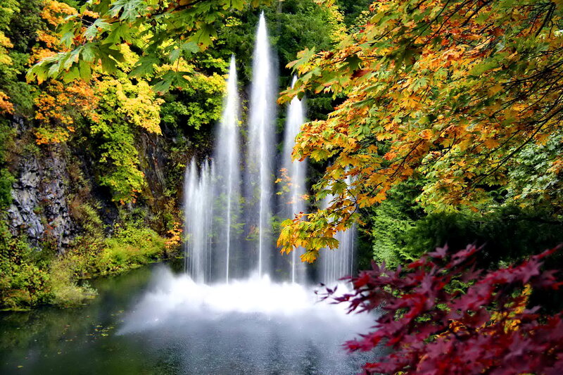 Waterfall in Autumn Forest — Green, Serene, Photograph, Trees, Leaves