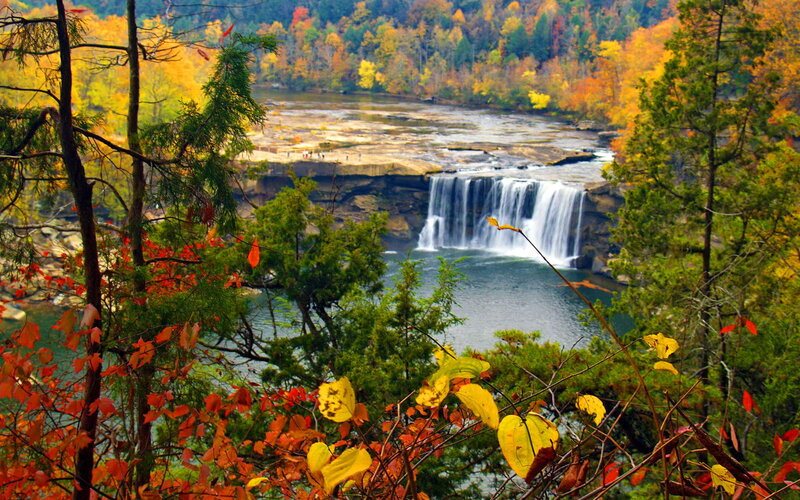 Waterfall in Autumn Forest — Green, Serene, Photograph, Trees, River, People