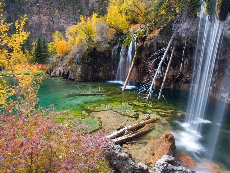 Waterfall in Autumn Forest — Green, Serene, Photograph, Trees, River, Rocks, Fallen Logs