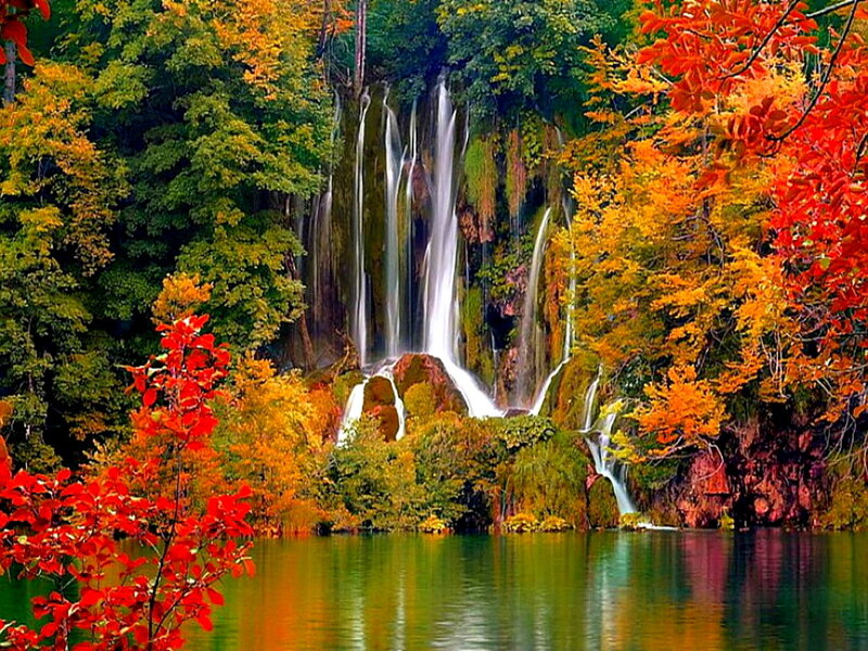 Waterfall in Autumn Forest — Green, Serene, Photograph, Trees, River, Rocks, Foliage