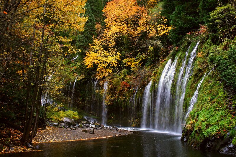 Waterfall in Autumn Forest — Green, Serene, Photograph, Trees, River, Rocks, Moss