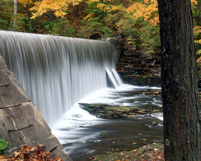 Waterfall in Autumn Forest — Green, Serene, Photograph, Trees, River, Stones