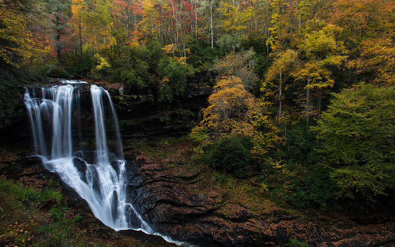 Waterfall in Autumn Forest — Green, Serene, Photograph, Trees, Rocks, Fallen Leaves