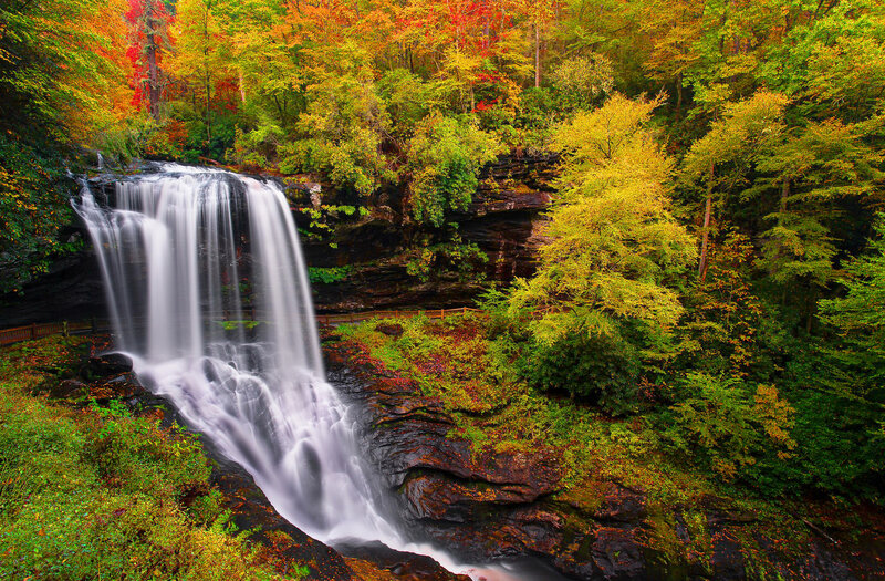 Waterfall in Autumn Forest — Green, Serene, Photograph, Trees, Rocks, Path