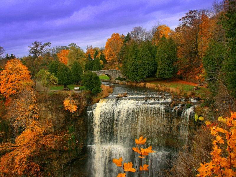 Waterfall in Autumn Forest — Orange, Dramatic, Photograph