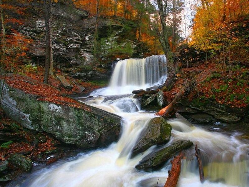 Waterfall in Autumn Forest — Orange, Serene, Photograph