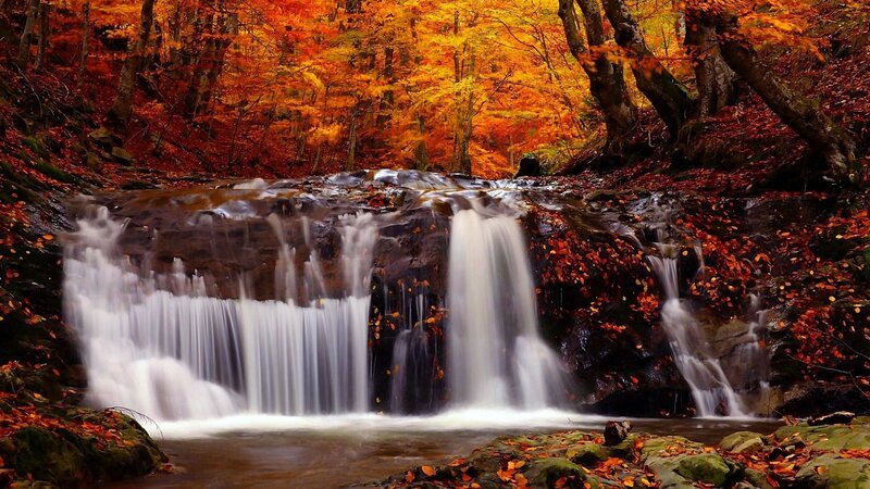 Waterfall in Autumn Forest — Orange, Serene, Photograph, Trees, Leaves, Rocks