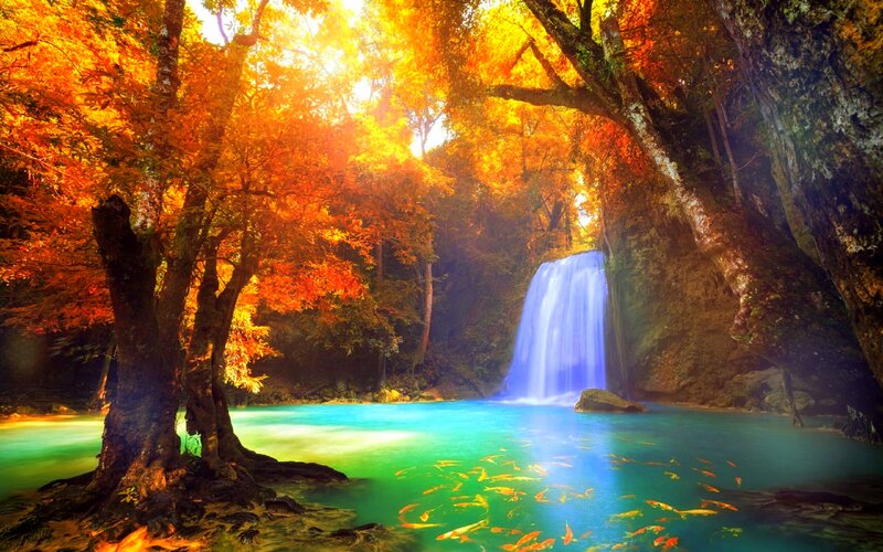 Waterfall in Autumn Forest — Orange, Serene, Photograph, Trees, Pool, Fish