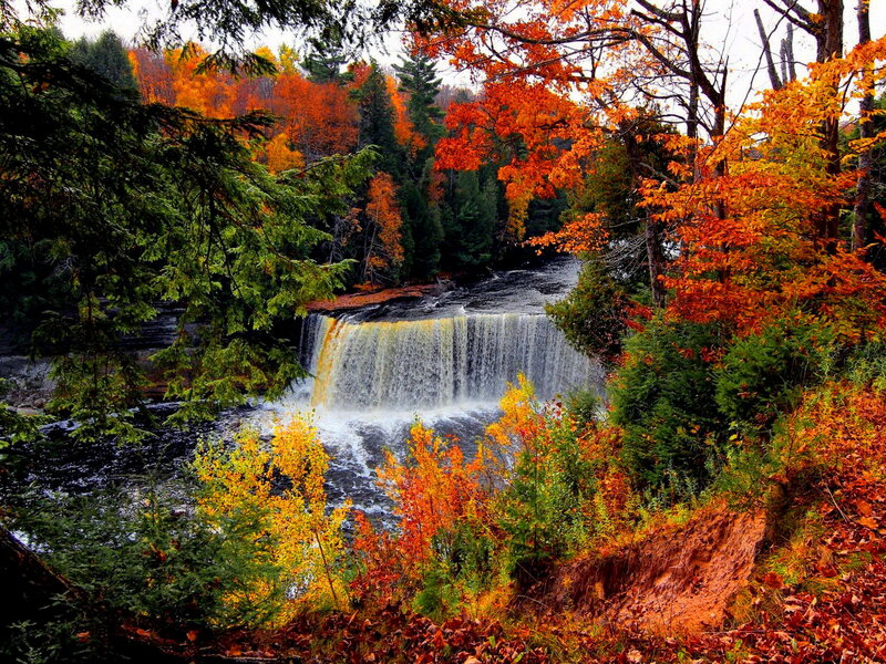 Waterfall in Autumn Forest — Orange, Serene, Photograph, Trees, River, Leaves