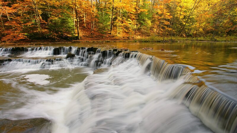 Waterfall in Autumn Forest — Orange, Serene, Photograph, Trees, River, Leaves, Yellow
