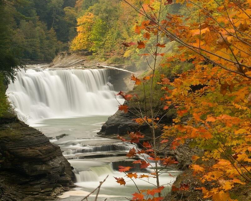 Waterfall in Autumn Forest — Orange, Serene, Photograph, Trees, River