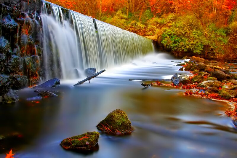 Waterfall in Autumn Forest — Orange, Serene, Photograph, Trees, Rocks, Fallen Leaves