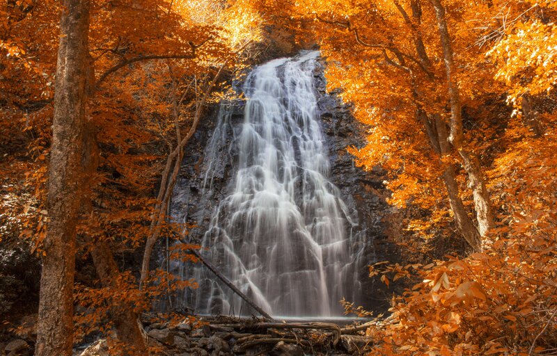 Waterfall in Autumn Forest — Orange, Serene, Photograph, Trees, Rocks, Falling Water