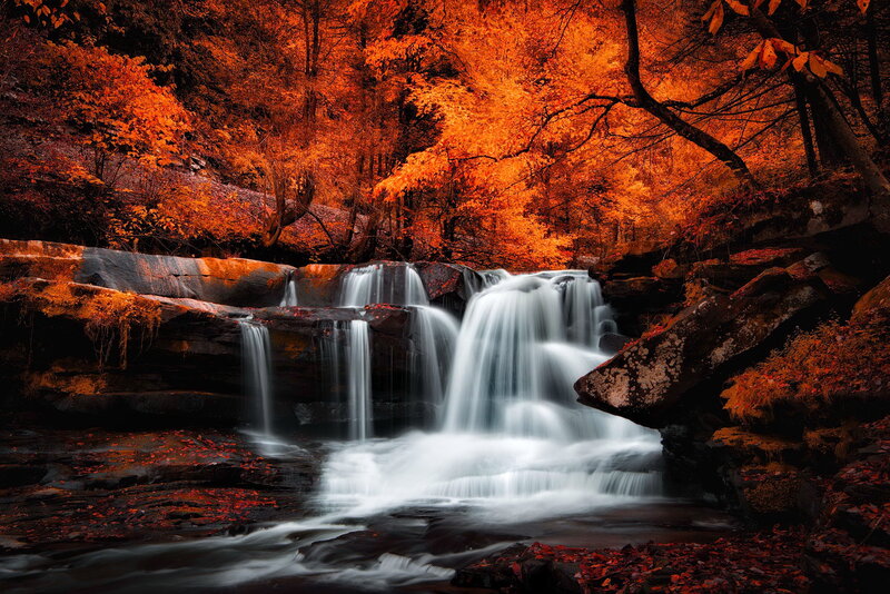 Waterfall in Autumn Forest — Orange, Serene, Photograph, Trees, Rocks, Leaves