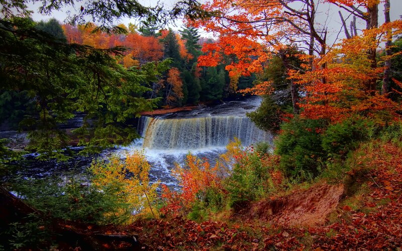 Waterfall in Autumn Forest — Orange, Serene, Photograph, Trees