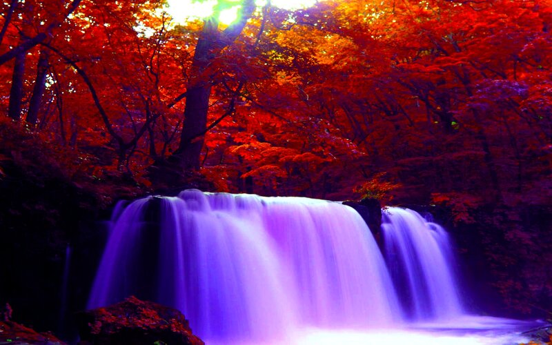 Waterfall in Autumn Forest — Red, Dramatic