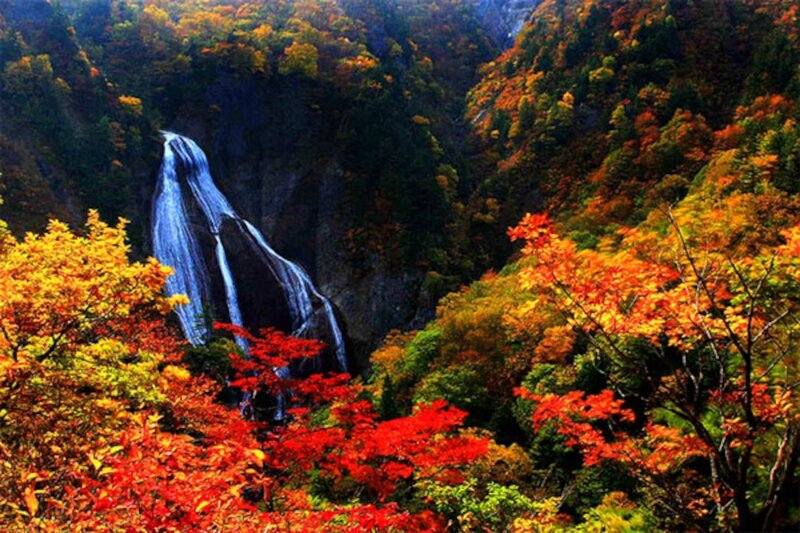 Waterfall in Autumn Forest — Red, Serene, Photograph, Mountain