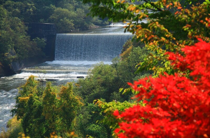 Waterfall in Autumn Forest — Red, Serene, Photograph